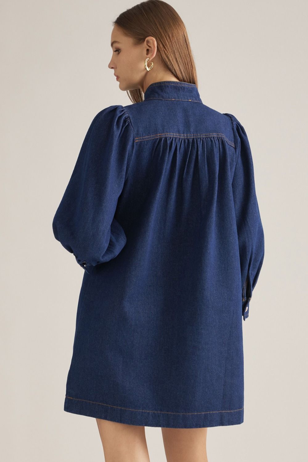 The Barn Yard Denim Dress