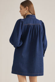 The Barn Yard Denim Dress